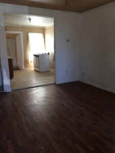 Investment Opportunity - image 4