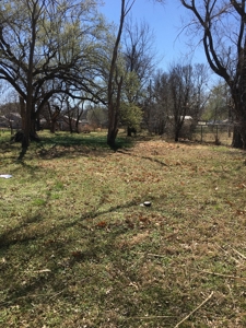 Large Lot for Building Site - image 3