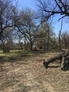 Large Lot for Building Site - image 2