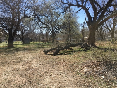 Large Lot for Building Site - image 1