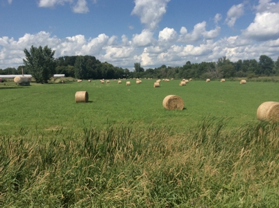 Home and Hobby Farm in Princeton, MN - image 33