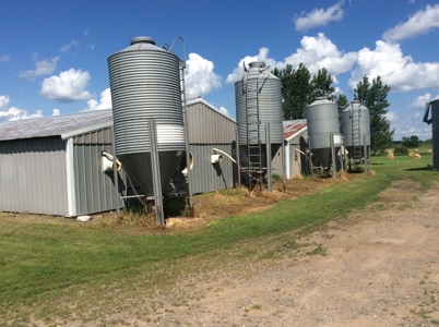Home and Hobby Farm in Princeton, MN - image 41