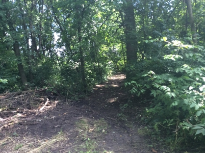 Home and Hobby Farm in Princeton, MN - image 22
