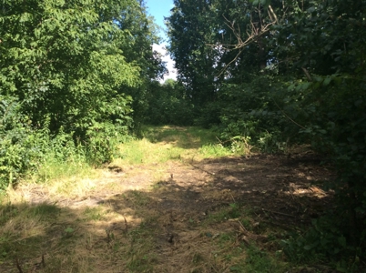 Home and Hobby Farm in Princeton, MN - image 19