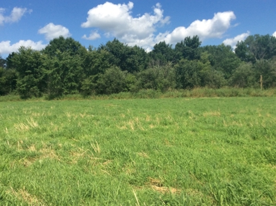 Home and Hobby Farm in Princeton, MN - image 24