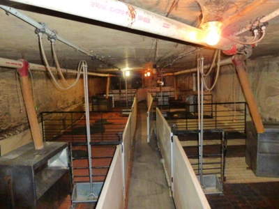 Home and Hobby Farm in Princeton, MN - image 4