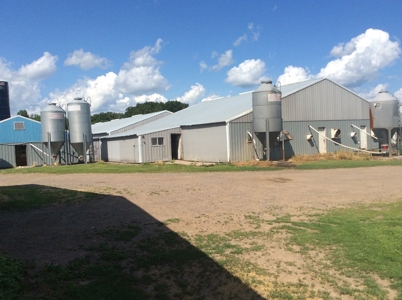 Home and Hobby Farm in Princeton, MN - image 38