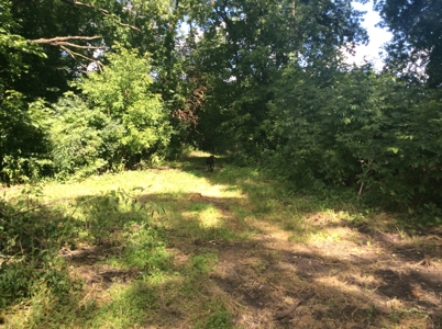 Home and Hobby Farm in Princeton, MN - image 20