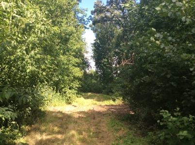 Home and Hobby Farm in Princeton, MN - image 21