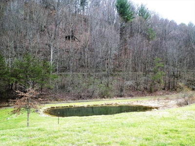 42.75 Acres Of Spacious Retreat In Rural Retreat, Va - image 34