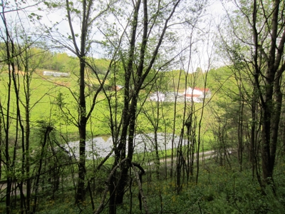 42.75 Acres Of Spacious Retreat In Rural Retreat, Va - image 8