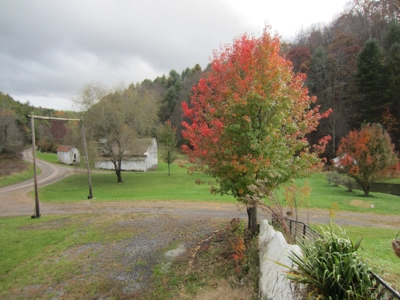 42.75 Acres Of Spacious Retreat In Rural Retreat, Va - image 38
