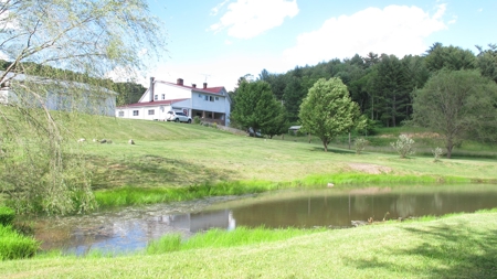 42.75 Acres Of Spacious Retreat In Rural Retreat, Va - image 9