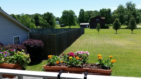 Beautiful spacious country home in small town Tennessee! - image 3