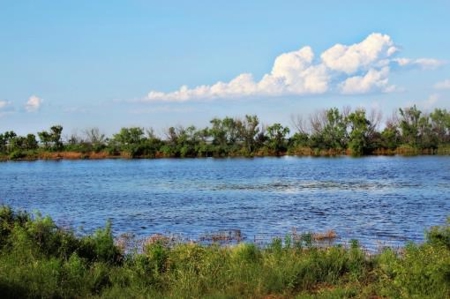 Hudson Ranch Auction Tract 19 - image 17