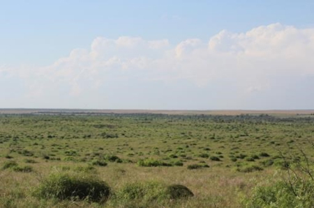 Hudson Ranch Auction Tract 19 - image 13
