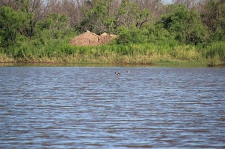Hudson Ranch Auction Tract 19 - image 5