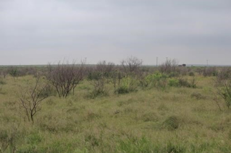 Hudson Ranch Auction Tract 19 - image 16