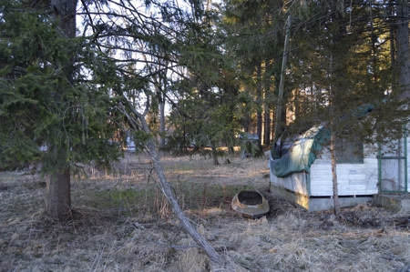 Lawrence Lake Lot Online Absolute Auction, Marquette County, - image 4