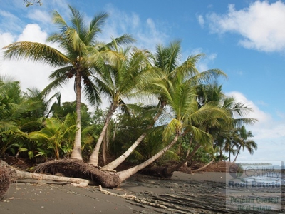 Oceanfront lot in Playa Burica land for sale in panama - image 17