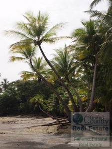Oceanfront lot in Playa Burica land for sale in panama - image 12