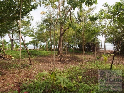 Oceanfront lot in Playa Burica land for sale in panama - image 15
