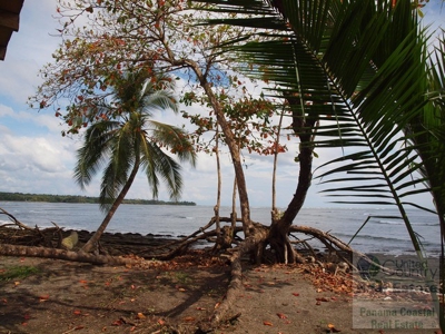 Oceanfront lot in Playa Burica land for sale in panama - image 8