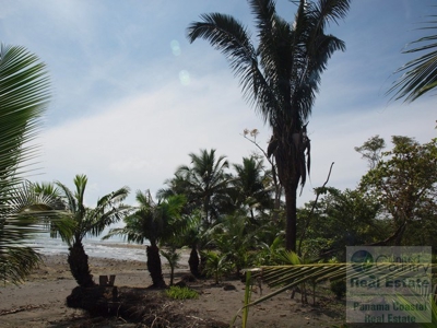 Oceanfront lot in Playa Burica land for sale in panama - image 9