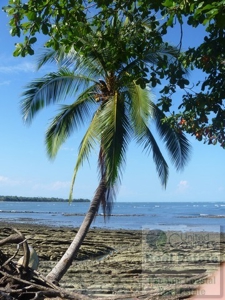 Oceanfront lot in Playa Burica land for sale in panama - image 6
