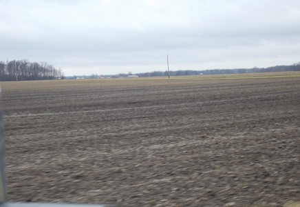 Farm Land & Chattel Auction in Upper Sandusky, Ohio - image 14