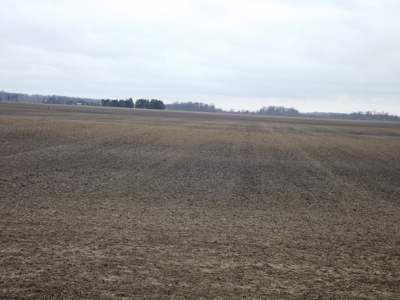 Farm Land & Chattel Auction in Upper Sandusky, Ohio - image 13