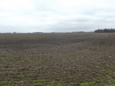 Farm Land & Chattel Auction in Upper Sandusky, Ohio - image 12