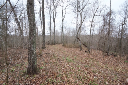 Historic Home, Barn and Acreage for Sale in Marthasville MO - image 21
