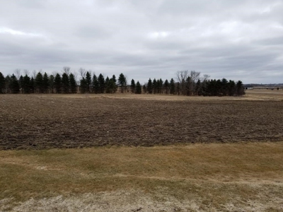 Farm Land, Otter Tail County, Tillable Row Crop for Sale, MN - image 3