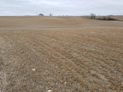 Farm Land, Otter Tail County, Tillable Row Crop for Sale, MN - image 7