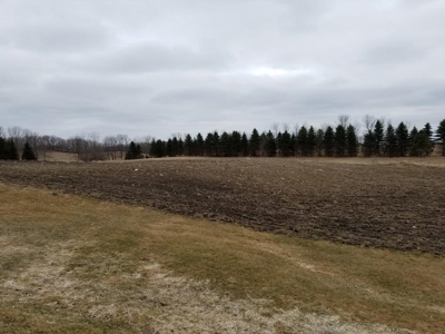 Farm Land, Otter Tail County, Tillable Row Crop for Sale, MN - image 2