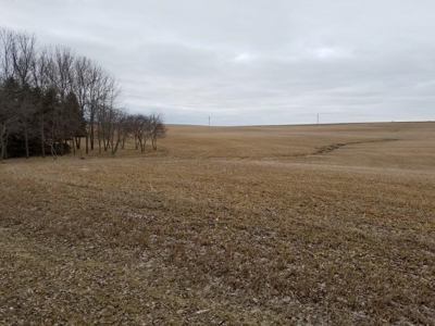 Farm Land, Otter Tail County, Tillable Row Crop for Sale, MN - image 5