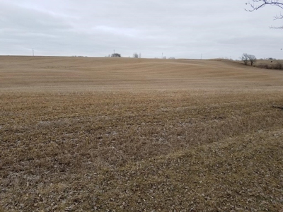 Farm Land, Otter Tail County, Tillable Row Crop for Sale, MN - image 4