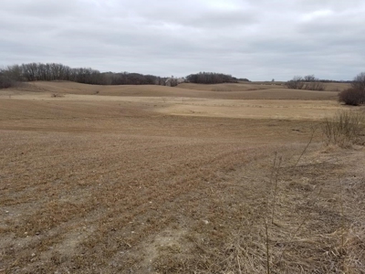 Farm Land, Otter Tail County, Tillable Row Crop for Sale, MN - image 6