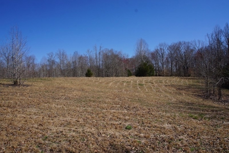 Tennessee Country Home for Sale with acreage - Parsons TN - image 6