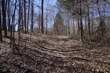 Tennessee Country Home for Sale with acreage - Parsons TN - image 4