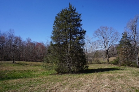 Tennessee Country Home for Sale with acreage - Parsons TN - image 1