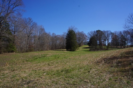 Tennessee Country Home for Sale with acreage - Parsons TN - image 3