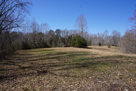 Tennessee Country Home for Sale with acreage - Parsons TN - image 5