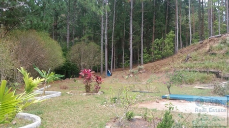 ******SOLD******/*Altos Del Maria Fire - image 5