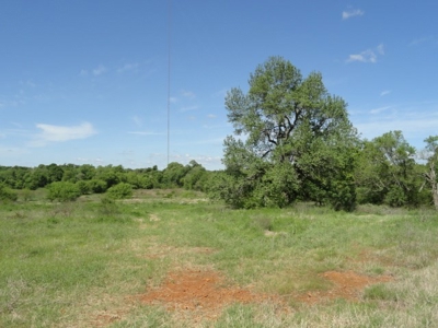 Cherokee County Country Home & Acreage - image 8