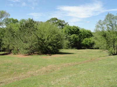Cherokee County Country Home & Acreage - image 33