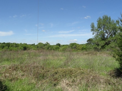 Cherokee County Country Home & Acreage - image 7