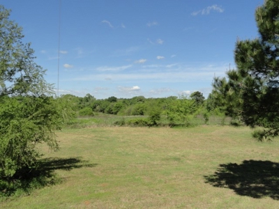 Cherokee County Country Home & Acreage - image 6