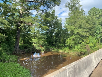 Land for Sale W/ Kelly Bayou W/ Utilities in Miller Co., AR - image 2